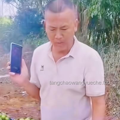 进口水果价格跳水：应对策略与市场稳定方案